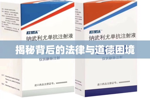 全国揭秘背后的法律与道德困境